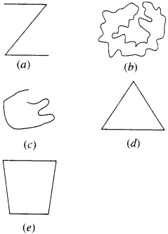 NCERT Solutions for Class 6 Maths Chapter 4 Basic Geometrical Ideas 8